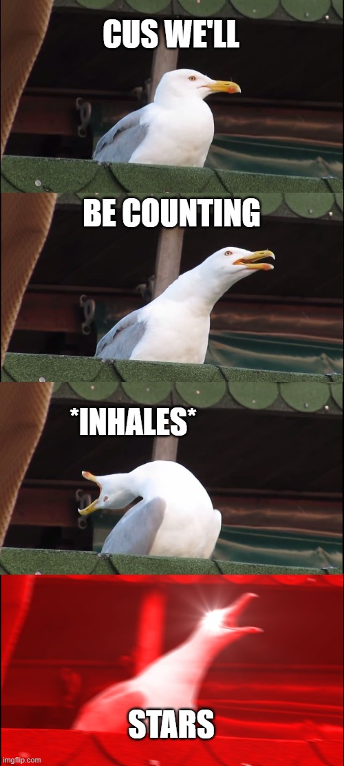 Inhaling Seagull | CUS WE'LL; BE COUNTING; *INHALES*; STARS | image tagged in memes,inhaling seagull | made w/ Imgflip meme maker