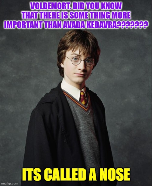 Potter Nose meme | VOLDEMORT. DID YOU KNOW THAT THERE IS SOME THING MORE IMPORTANT THAN AVADA KEDAVRA??????? ITS CALLED A NOSE | image tagged in harry potter | made w/ Imgflip meme maker