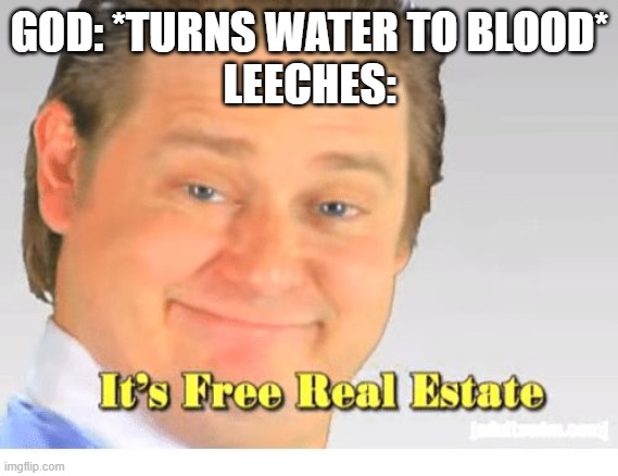Dank Bible meme | GOD: *TURNS WATER TO BLOOD*
LEECHES: | image tagged in it's free real estate | made w/ Imgflip meme maker