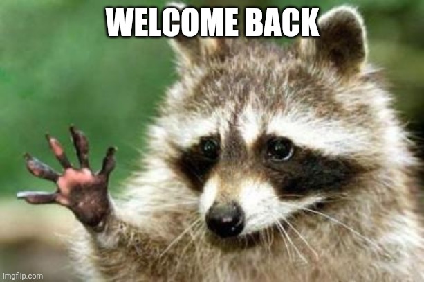 Hello raccoon | WELCOME BACK | image tagged in hello raccoon | made w/ Imgflip meme maker