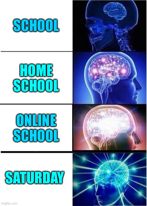 Expanding Brain | SCHOOL; HOME SCHOOL; ONLINE SCHOOL; SATURDAY | image tagged in memes,expanding brain | made w/ Imgflip meme maker