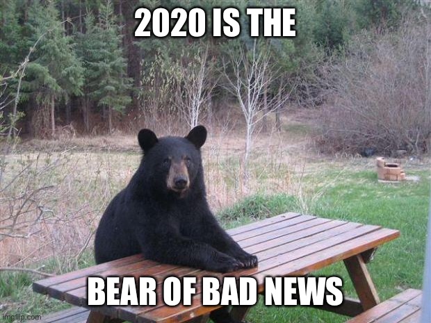 Bear of bad news | 2020 IS THE BEAR OF BAD NEWS | image tagged in bear of bad news | made w/ Imgflip meme maker