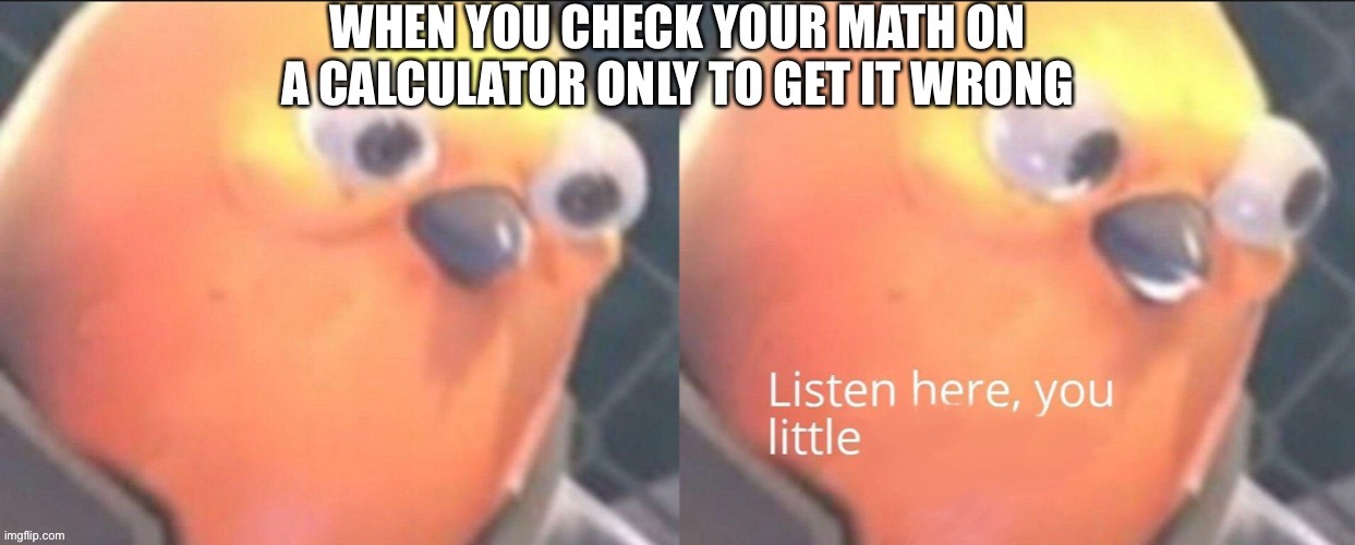 When you check your math on a calculator only to get it wrong | image tagged in listen here you little shit bird | made w/ Imgflip meme maker