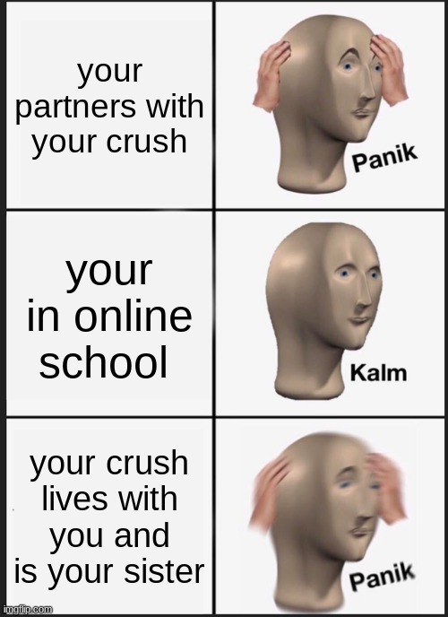 Panik Kalm Panik | your partners with your crush; your in online school; your crush lives with you and is your sister | image tagged in memes,panik kalm panik,crush,sister | made w/ Imgflip meme maker