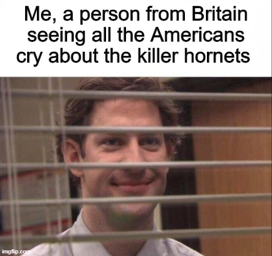 Sneak 100 | Me, a person from Britain seeing all the Americans cry about the killer hornets | image tagged in jim halpert,memes,funny,the office,america | made w/ Imgflip meme maker