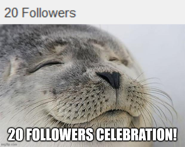 20 followers! | 20 FOLLOWERS CELEBRATION! | image tagged in memes,satisfied seal | made w/ Imgflip meme maker