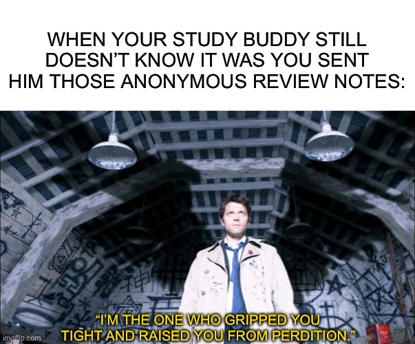 WHEN YOUR STUDY BUDDY STILL DOESN’T KNOW IT WAS YOU SENT HIM THOSE ANONYMOUS REVIEW NOTES:; “I’M THE ONE WHO GRIPPED YOU TIGHT AND RAISED YOU FROM PERDITION.” | image tagged in blank white template,castiel's wings | made w/ Imgflip meme maker