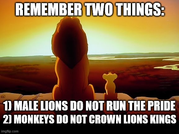 Lion King Meme | REMEMBER TWO THINGS:; 1) MALE LIONS DO NOT RUN THE PRIDE; 2) MONKEYS DO NOT CROWN LIONS KINGS | image tagged in memes,lion king | made w/ Imgflip meme maker