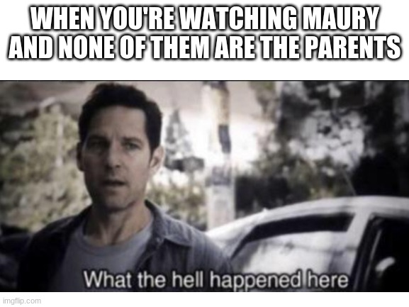 Switcharoo |  WHEN YOU'RE WATCHING MAURY AND NONE OF THEM ARE THE PARENTS | image tagged in switch | made w/ Imgflip meme maker