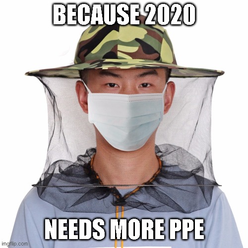 PPE FOR HORNETS | BECAUSE 2020; NEEDS MORE PPE | image tagged in murder hornet ppe | made w/ Imgflip meme maker