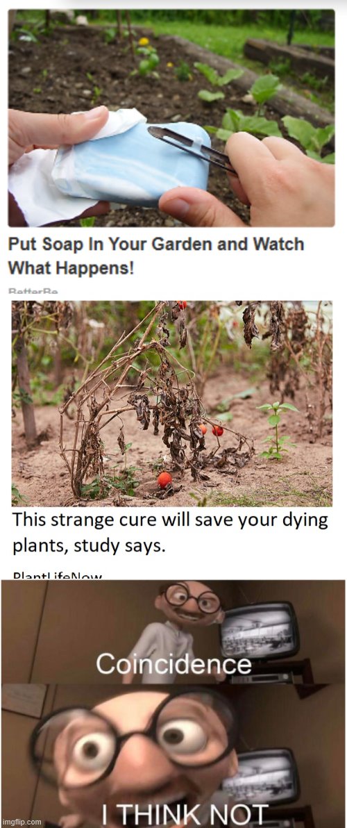 A man poisoned his garden. What happened next is baffling scientists worldwide. | image tagged in coincidence i think not,plants,stupid ads,targetted | made w/ Imgflip meme maker