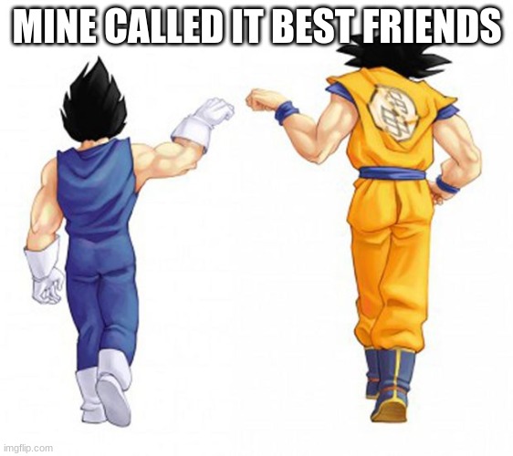 goku and vegeta | MINE CALLED IT BEST FRIENDS | image tagged in goku and vegeta | made w/ Imgflip meme maker