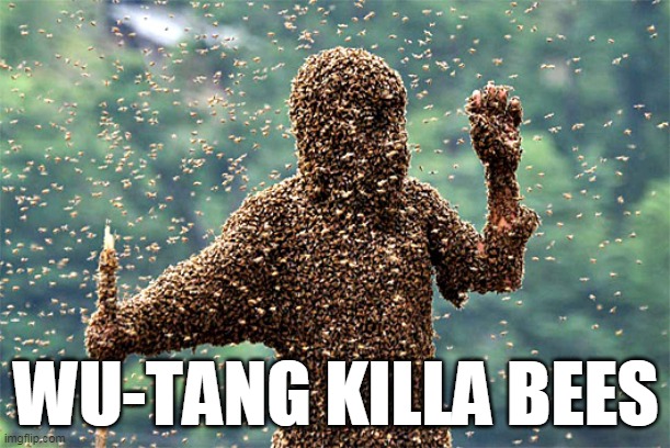 Wasps | WU-TANG KILLA BEES | image tagged in wasps | made w/ Imgflip meme maker