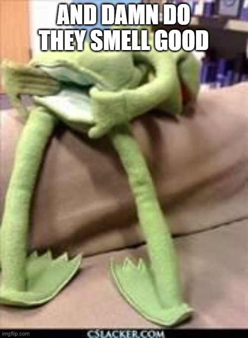 Gay kermit | AND DAMN DO THEY SMELL GOOD | image tagged in gay kermit | made w/ Imgflip meme maker