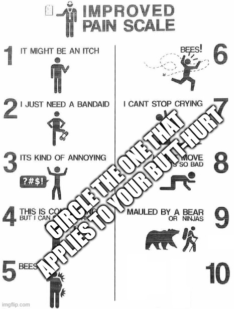 Improved Pain Scale | CIRCLE THE ONE THAT APPLIES TO YOUR BUTT-HURT | image tagged in improved pain scale | made w/ Imgflip meme maker