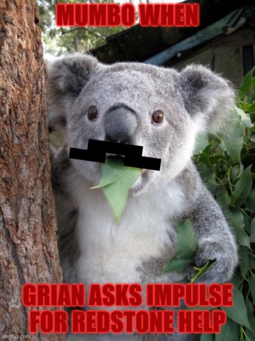 Last episode of Hermitcraft Season 6 | MUMBO WHEN; GRIAN ASKS IMPULSE
FOR REDSTONE HELP | image tagged in memes,surprised koala,hermitcraft 6,grian,mumbo jumbo,impulsesv | made w/ Imgflip meme maker