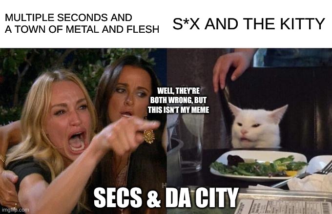 Woman Yelling At Cat | MULTIPLE SECONDS AND A TOWN OF METAL AND FLESH; S*X AND THE KITTY; WELL, THEY'RE BOTH WRONG, BUT THIS ISN'T MY MEME; SECS & DA CITY | image tagged in memes,woman yelling at cat | made w/ Imgflip meme maker
