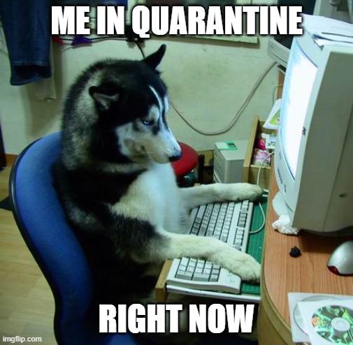 Me right now | ME IN QUARANTINE; RIGHT NOW | image tagged in memes,i have no idea what i am doing | made w/ Imgflip meme maker