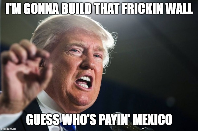 donald trump | I'M GONNA BUILD THAT FRICKIN WALL; GUESS WHO'S PAYIN' MEXICO | image tagged in donald trump | made w/ Imgflip meme maker