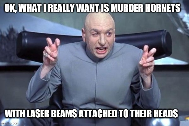 Murder Hornets | OK, WHAT I REALLY WANT IS MURDER HORNETS; WITH LASER BEAMS ATTACHED TO THEIR HEADS | image tagged in dr evil laser | made w/ Imgflip meme maker