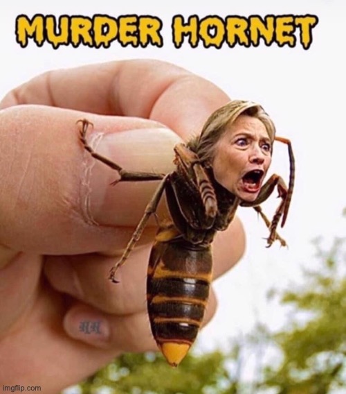 political | image tagged in murder hornet | made w/ Imgflip meme maker