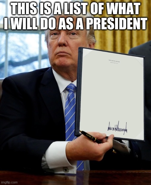 Donald Trump blank executive order | THIS IS A LIST OF WHAT I WILL DO AS A PRESIDENT | image tagged in donald trump blank executive order | made w/ Imgflip meme maker