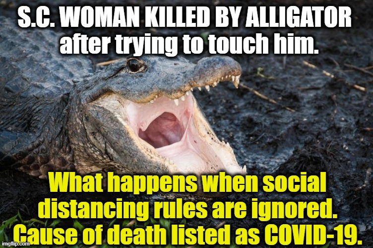 You Can't Fix Stupid (but you can blame it on Covid-19) | S.C. WOMAN KILLED BY ALLIGATOR 
 after trying to touch him. What happens when social distancing rules are ignored. Cause of death listed as COVID-19. | image tagged in funny,first world problems,wtf,coronavirus,covid-19,funny memes | made w/ Imgflip meme maker