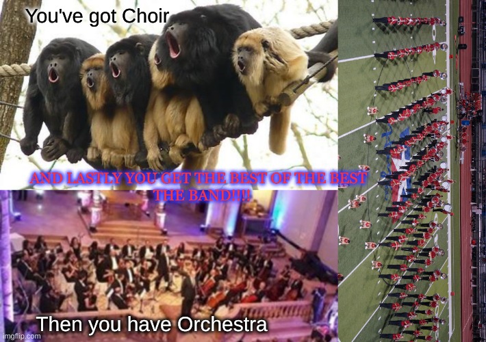 You've got Choir; AND LASTLY YOU GET THE BEST OF THE BEST 
 THE BAND!!!! Then you have Orchestra | image tagged in monkey choir,aleppo orchestra concert summer 2017 | made w/ Imgflip meme maker