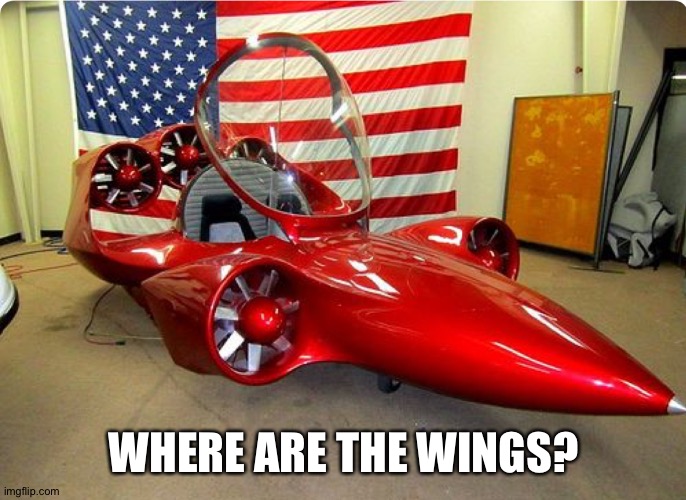 WHERE ARE THE WINGS? | made w/ Imgflip meme maker