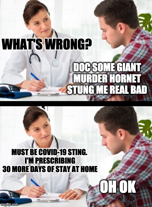 doctor and patient | WHAT'S WRONG? DOC SOME GIANT MURDER HORNET STUNG ME REAL BAD; MUST BE COVID-19 STING. 
I'M PRESCRIBING
30 MORE DAYS OF STAY AT HOME; OH OK | image tagged in doctor and patient,politics,covid-19,murder hornets,murder hornet,coronavirus | made w/ Imgflip meme maker