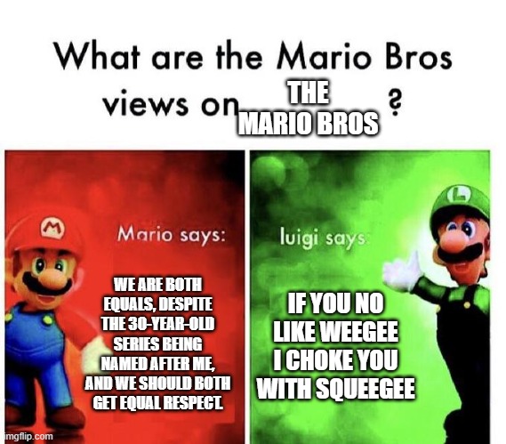 Mario Bros Views | THE MARIO BROS; WE ARE BOTH EQUALS, DESPITE THE 30-YEAR-OLD SERIES BEING NAMED AFTER ME, AND WE SHOULD BOTH GET EQUAL RESPECT. IF YOU NO LIKE WEEGEE I CHOKE YOU WITH SQUEEGEE | image tagged in mario bros views | made w/ Imgflip meme maker