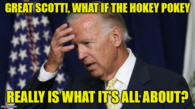Suddenly it hits him. | GREAT SCOTT!, WHAT IF THE HOKEY POKEY; REALLY IS WHAT IT'S ALL ABOUT? | image tagged in joe biden worries,hokey pokey,great scott,stumped | made w/ Imgflip meme maker