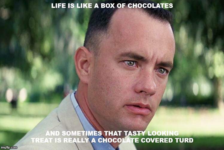 And Just Like That | LIFE IS LIKE A BOX OF CHOCOLATES; AND SOMETIMES THAT TASTY LOOKING TREAT IS REALLY A CHOCOLATE COVERED TURD | image tagged in memes,and just like that | made w/ Imgflip meme maker