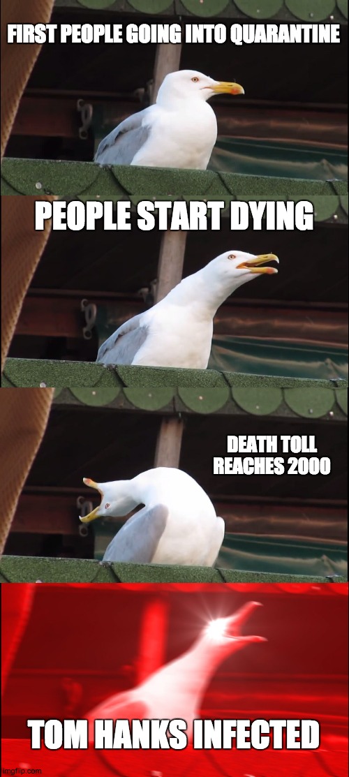 Seagull Scared | FIRST PEOPLE GOING INTO QUARANTINE; PEOPLE START DYING; DEATH TOLL REACHES 2000; TOM HANKS INFECTED | image tagged in memes,inhaling seagull | made w/ Imgflip meme maker