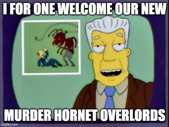 I for one welcome our new overlords | I FOR ONE WELCOME OUR NEW; MURDER HORNET OVERLORDS | image tagged in i for one welcome our new overlords | made w/ Imgflip meme maker
