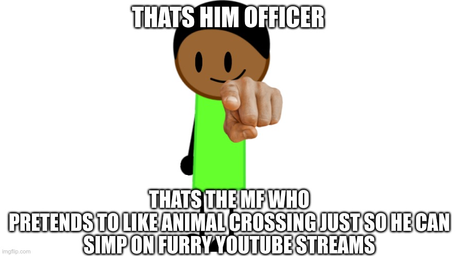 Thats Him Officer | THATS HIM OFFICER; THATS THE MF WHO
 PRETENDS TO LIKE ANIMAL CROSSING JUST SO HE CAN 
SIMP ON FURRY YOUTUBE STREAMS | image tagged in officer | made w/ Imgflip meme maker
