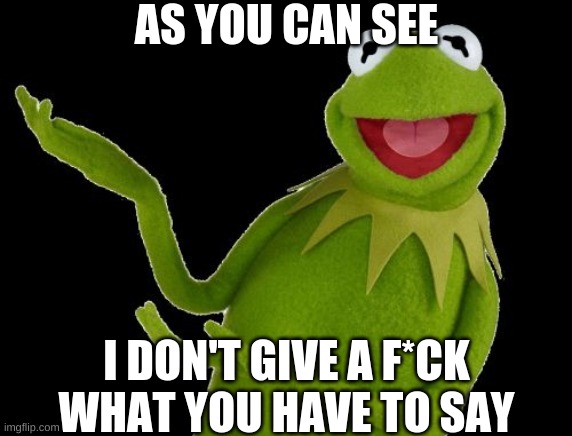 AS YOU CAN SEE I DON'T GIVE A F*CK WHAT YOU HAVE TO SAY | made w/ Imgflip meme maker
