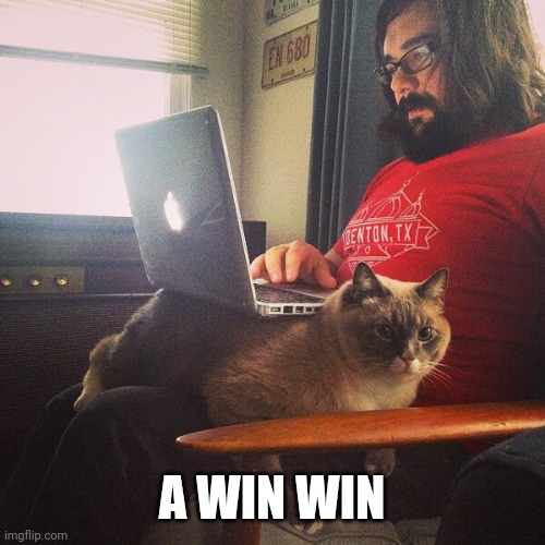 WIN WIN | A WIN WIN | image tagged in cats,funny cats | made w/ Imgflip meme maker