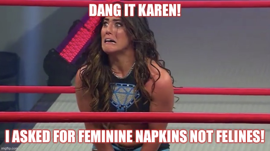 Dang it Karen! | DANG IT KAREN! I ASKED FOR FEMININE NAPKINS NOT FELINES! | image tagged in tessa,karen meme | made w/ Imgflip meme maker