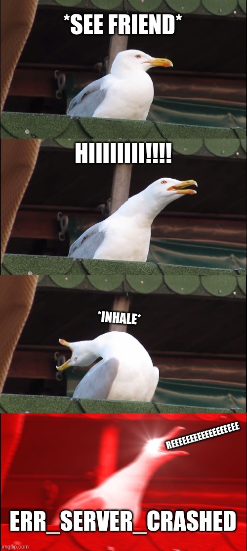 Inhaling Seagull | *SEE FRIEND*; HIIIIIIII!!!! *INHALE*; REEEEEEEEEEEEEEEEEE; ERR_SERVER_CRASHED | image tagged in memes,inhaling seagull | made w/ Imgflip meme maker