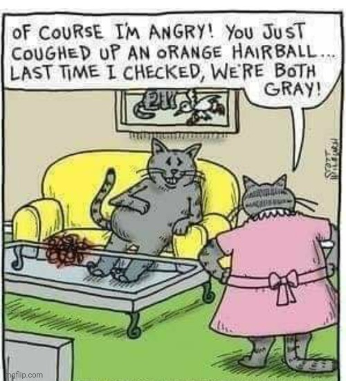 LICKED HER GOOD | image tagged in cats,comics/cartoons | made w/ Imgflip meme maker