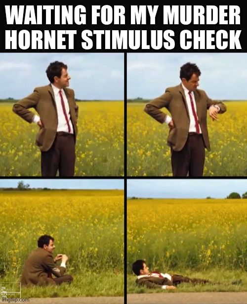Murder hornets are coming And I need toilet paper | WAITING FOR MY MURDER HORNET STIMULUS CHECK | image tagged in mr bean waiting,murder hornets | made w/ Imgflip meme maker