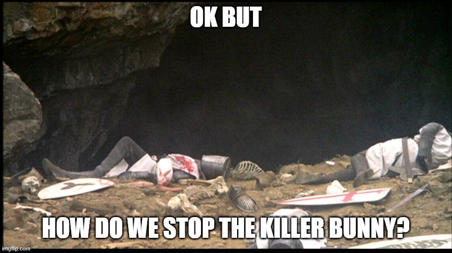 Killer Bunny | OK BUT HOW DO WE STOP THE KILLER BUNNY? | image tagged in killer bunny | made w/ Imgflip meme maker