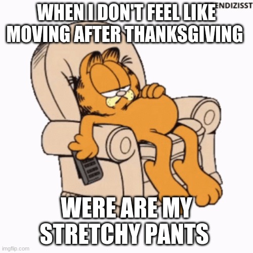 WHEN I DON'T FEEL LIKE MOVING AFTER THANKSGIVING; WERE ARE MY STRETCHY PANTS | image tagged in garfield | made w/ Imgflip meme maker