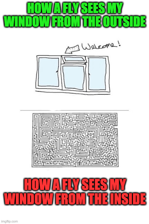I Never Understood This | HOW A FLY SEES MY WINDOW FROM THE OUTSIDE; HOW A FLY SEES MY WINDOW FROM THE INSIDE | image tagged in flies,live for 28 days,so many eyes but can't see | made w/ Imgflip meme maker