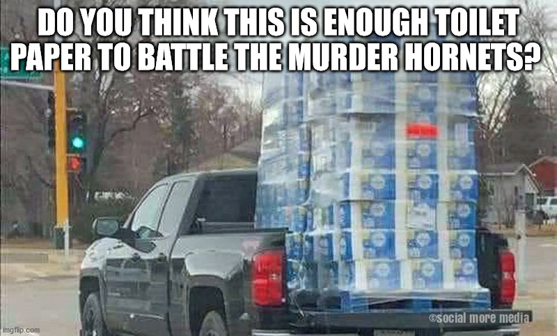 Murder Hornets | DO YOU THINK THIS IS ENOUGH TOILET PAPER TO BATTLE THE MURDER HORNETS? | image tagged in murder hornets,covid-19,toilet paper,coronavirus | made w/ Imgflip meme maker