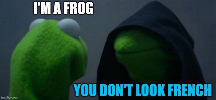 Racist! | I'M A FROG; YOU DON'T LOOK FRENCH | image tagged in memes,evil kermit,french,frog | made w/ Imgflip meme maker