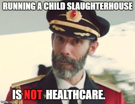 End The Child Slaughterhouses | RUNNING A CHILD SLAUGHTERHOUSE; IS; NOT; HEALTHCARE. | image tagged in captain obvious,abortion is murder,abortion,healthcare,planned parenthood,hitler | made w/ Imgflip meme maker