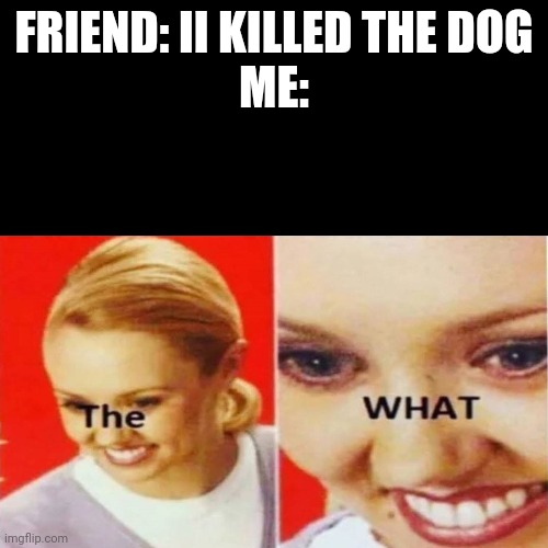When somebody kills a dog | FRIEND: II KILLED THE DOG
ME: | image tagged in the what | made w/ Imgflip meme maker