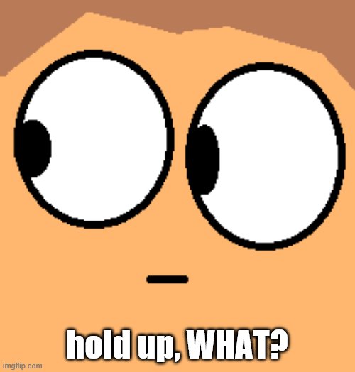 WHAT? | hold up, WHAT? | image tagged in what | made w/ Imgflip meme maker